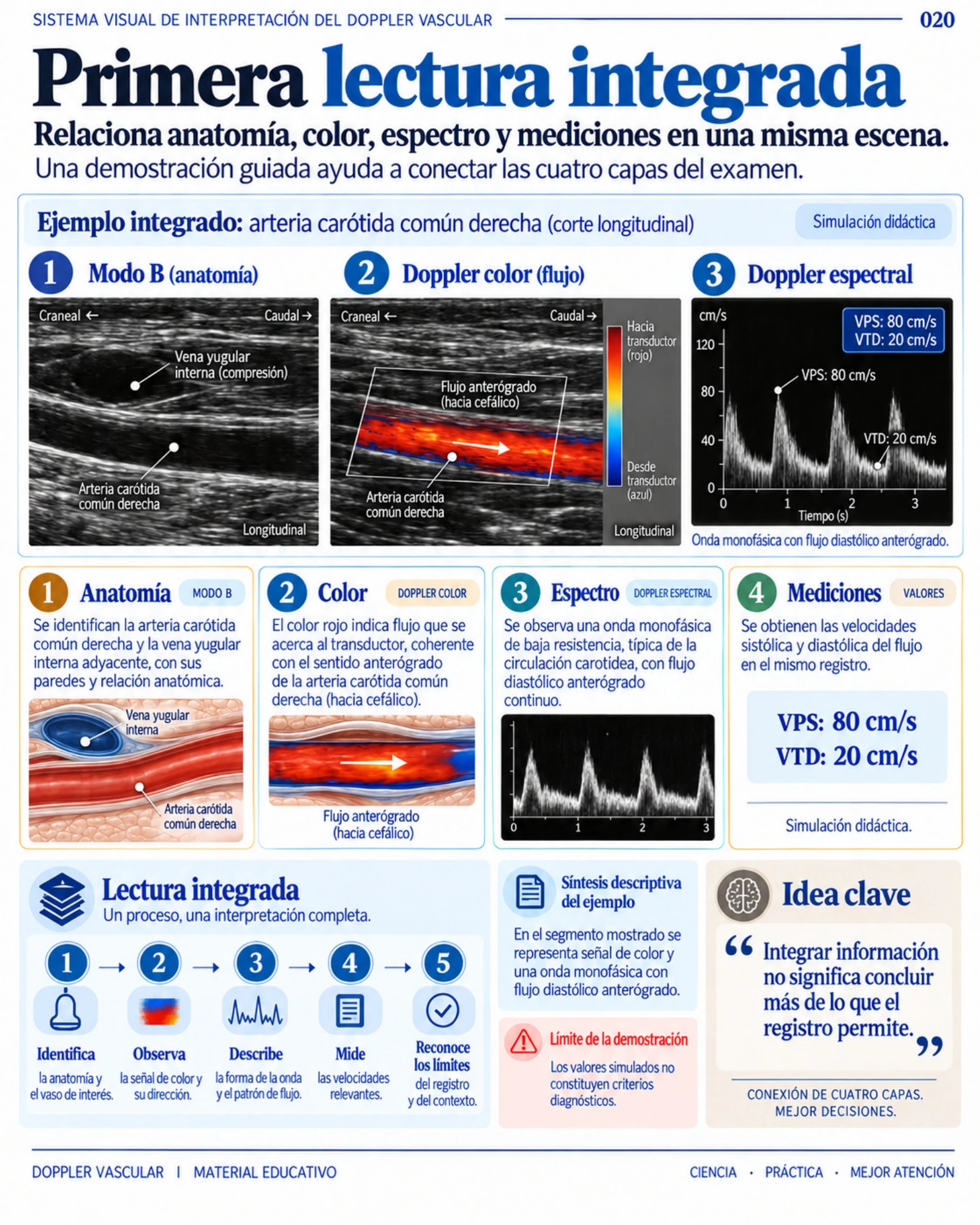 Página 20: Primera lectura integrada. Muestra del material digital de Doppler vascular.
